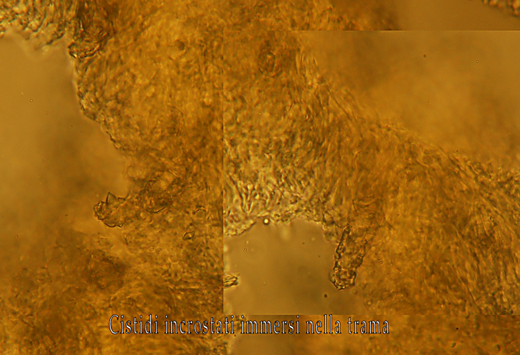 Miniera di Gambatesa 28